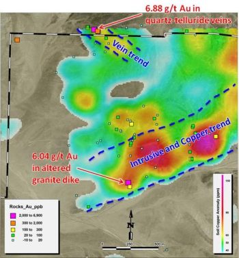 Soil-Cu-and-rock-chip-Au-geochemistry-map-showing-major-mineralized-structural-zones